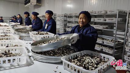 23省市2100余款產(chǎn)品齊聚全國(guó)菌博會(huì)，《中國(guó)食用菌產(chǎn)業(yè)年鑒》即將發(fā)布